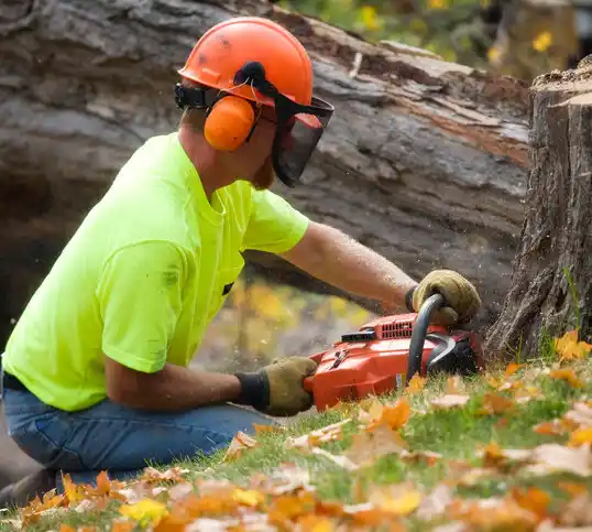 tree services Corydon